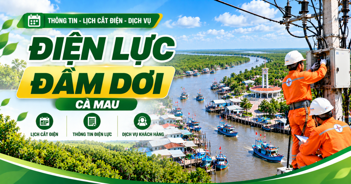 Điện lực Đầm Dơi Cà Mau: Địa chỉ, số điện thoại và kênh liên hệ