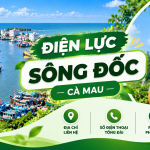 Điện lực Sông Đốc