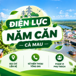 điện lực năm căn